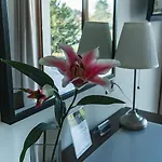 Motel Le Leman 3*