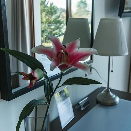 Motel Le Leman 3*