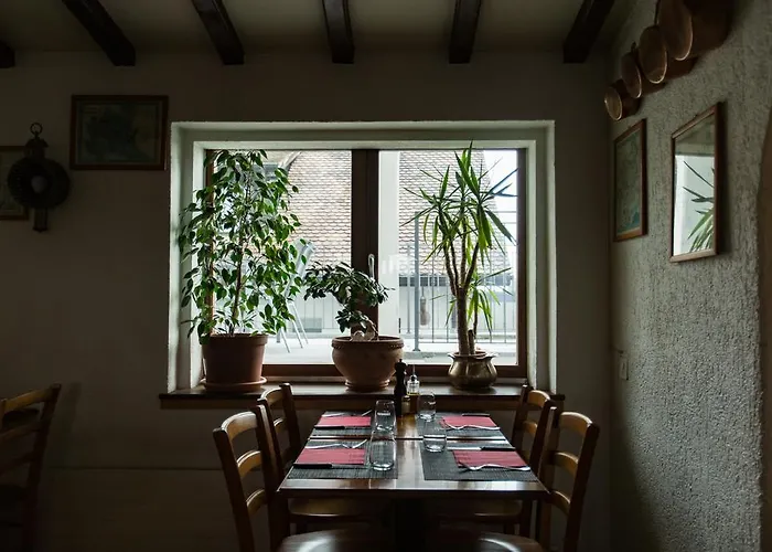 Motel Le Leman Commugny