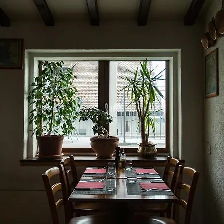 Motel Le Leman Commugny