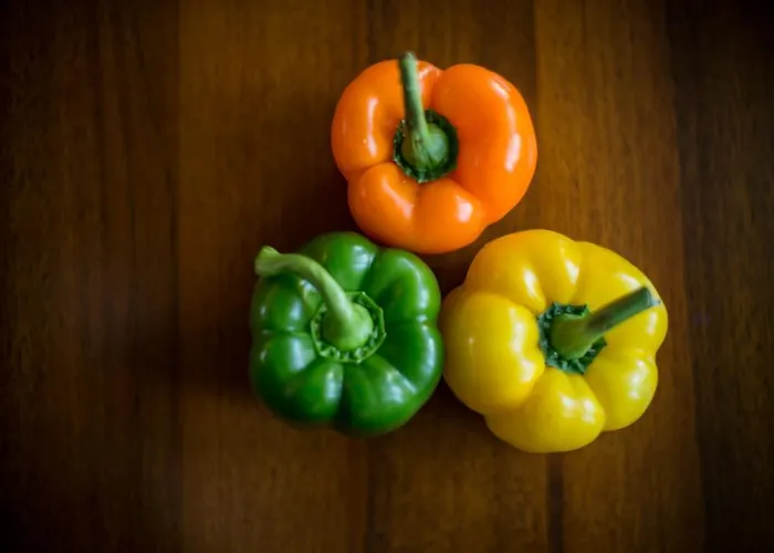 Motel Le Leman Commugny